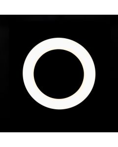 Кільцева світлодіодна лампа LED Borofone BY6 PerfectPic holder