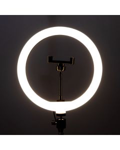 Кільцева світлодіодна лампа LED 26см 10