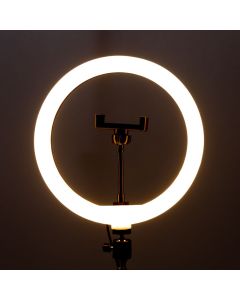Кільцева світлодіодна лампа LED 26см 10