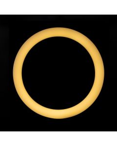 Кільцева світлодіодна лампа LED LJJ 36см