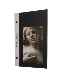 Захисна плівка Blade Hydrogel Antique Statues series Look