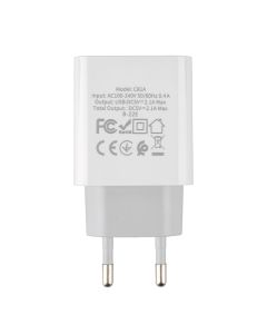 Зарядное устройство Hoco C81A Asombroso 1USB/2.1A Белый (White)