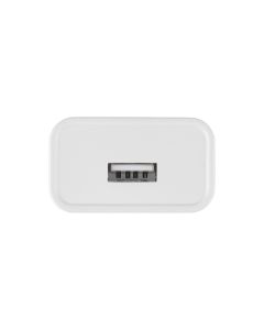 Зарядное устройство Hoco C81A Asombroso 1USB/2.1A Белый (White)