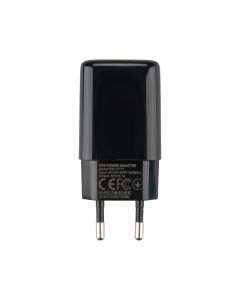 Зарядний пристрій Ridea RW-11111 Element 2.1A + кабель Micro-USB Чорний (Black)