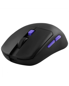 Миша бездротова Proove Gaming Everon Чорна (Black)