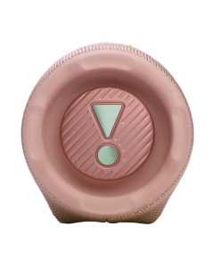 Колонка JBL CHARGE 6 Рожева (Pink)