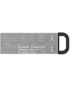 USB Флеш 64Gb Kingston DataTraveler Kyson (USB 3.2) Срібна (Silver Black)