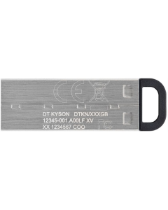USB Флеш 128Gb Kingston DataTraveler Kyson (USB 3.2) Срібна (Silver Black)