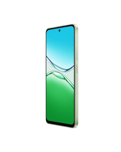 Смартфон Oppo A5 Pro 4G 8/256Gb Olive Green