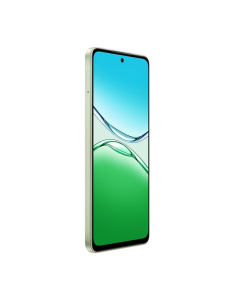Смартфон Oppo A5 Pro 4G 8/128Gb Olive Green