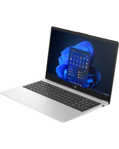 Ноутбук HP 250 G10 (AL0B9AT) Серебристый