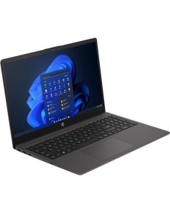 Ноутбук HP 255 G10 (A3DT2ES) Dark Ash Silver