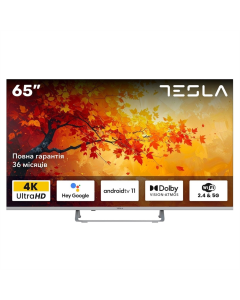 Телевізор Tesla 65E635SUS Сірий (Grey)