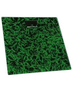 Ваги підлогові Grunhelm BES-GRA20 Зелені (Green)