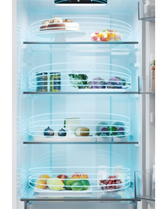 Холодильник Candy CNCQ2T518EB Чорний (Black)