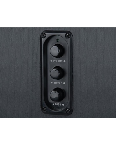 Колонки мультимедійні REAL-EL S-250 Чорні (Black)