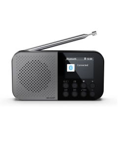 Портативний радіоприймач Sharp DR-P520 Сірі (Grey)