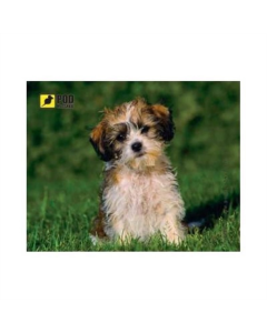 Коврик для мыши Pod Mishkou Пушистый щенок