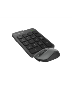 Беспроводная цифровая клавиатура Fstyler FG1600C Air2 + мышь Серая (Gray)