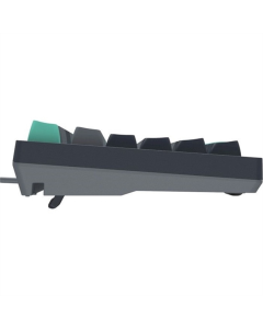 Клавіатура A4Tech Fstyler FS300 Panda Rock Climbing Чорна (Black)