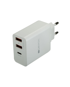Зарядний пристрій Canyon (2USB, 2.4A) (CNE-CHA08W) Білий (White)