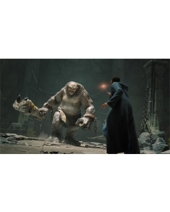 Гра Hogwarts Legacy для PlayStation 5, Russian Subtitles