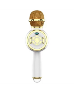 Караоке микрофон-колонка DS810 Золотой (Gold)