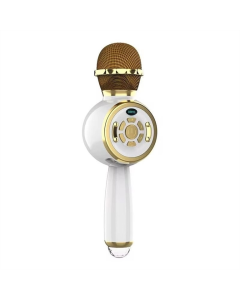 Караоке микрофон-колонка DS810 Золотой (Gold)