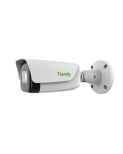 IP-камера Tiandy TC-C38TS Біла (White)