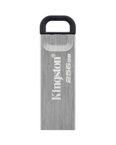 USB Флеш 256Gb Kingston DataTraveler Kyson USB3.2 Срібна (Silver Black)