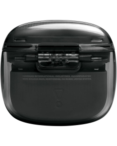 Бездротові навушники вкладиші JBL TUNE FLEX 2 Ghost Чорні (Black)