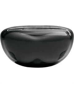 Бездротові навушники вкладиші JBL TUNE FLEX 2 Ghost Чорні (Black)