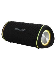 Колонка Senteo Storm 16W Серая (Gray)