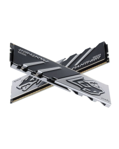 Модуль пам'яті DDR5 2x16GB/5200 Apacer Panther (AH5U32G52C5227BAA-2) Чорний (Black)