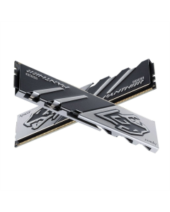 Модуль пам'яті DDR5 2x16GB/5600 Apacer Panther (AH5U32G56C5227BAA-2) Чорний (Black)